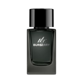 Burberry Mr Burberry Edp 100Ml